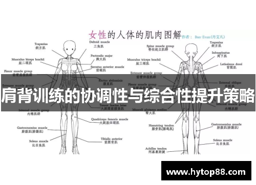 肩背训练的协调性与综合性提升策略